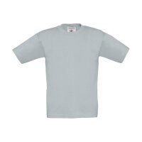 Pacific Grey